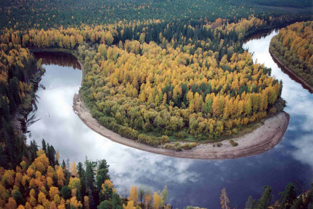 Предоставлено организаторами