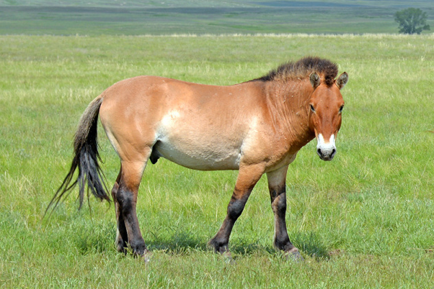 Татьяна Жарких