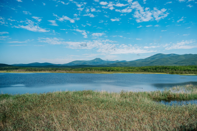 Ксения Гасица 